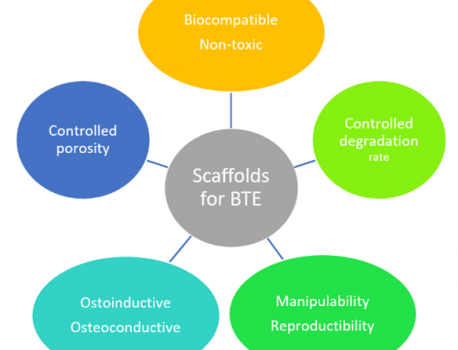 Innovative biomaterials in bone tissue engineering